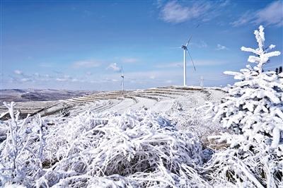 甘肅旅游丨華嶺霧凇冰雪節“玉樹瓊花”美如畫