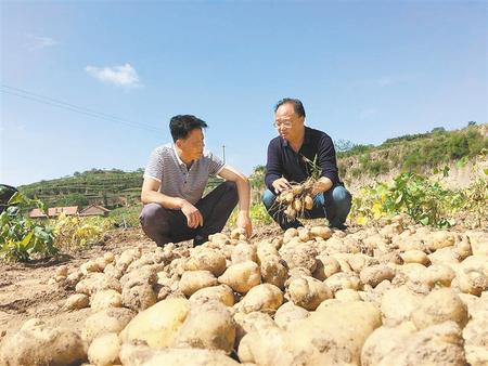 不負農時不負春——甘肅省農科院駐村幫扶人員深入田間幫春耕