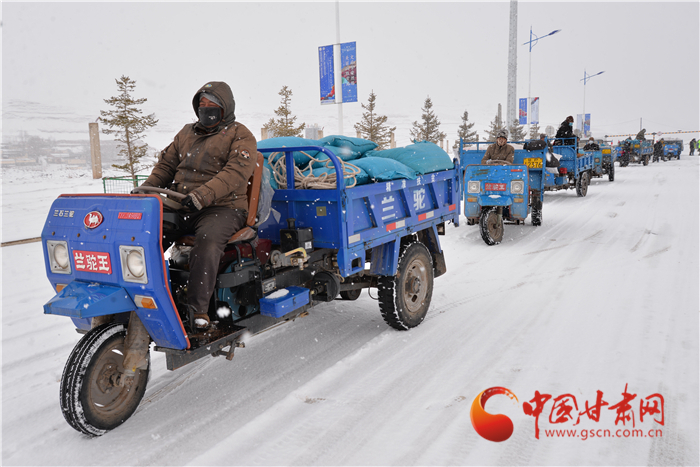 【甘肅全民戰(zhàn)“疫”】合作市2000余噸飼草料為農牧民雪中送炭