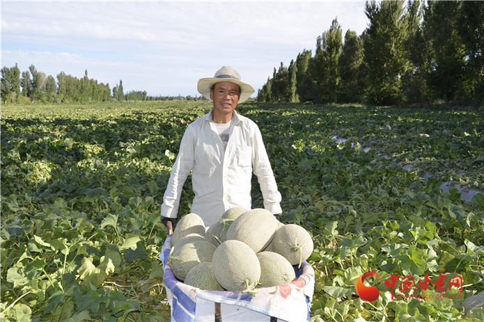 【甘肅省決戰決勝脫貧攻堅】酒泉瓜州：“甜蜜產業”助農致富 美味瓜果四季飄香