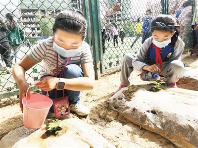 校園新鮮事丨校園小農(nóng)場 我勞動我光榮