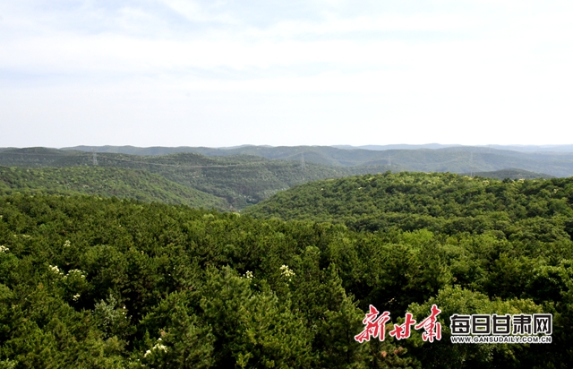 【甘肅生態(tài)環(huán)保媒體行】子午嶺深處，一家三代人用生命守護黃土高原的“天然生態(tài)屏障”