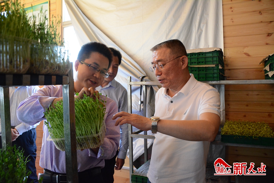 王銳在甘谷縣掛牌督戰(zhàn)村調(diào)研指導脫貧攻堅工作