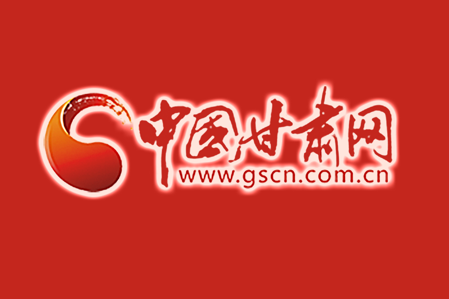 甘肅省公安機關全力開展“凈網2020”專項行動 共辦理涉網犯罪案件412起