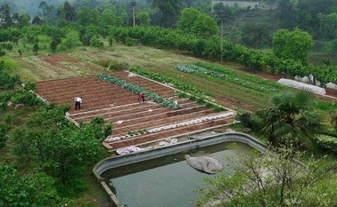 甘肅省加快推動家庭農場數量質量雙提升