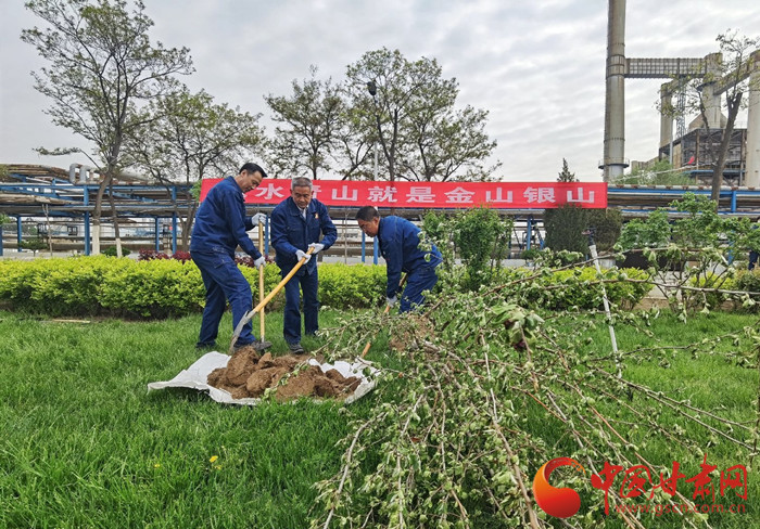 蘭州石化植樹(shù)播綠 全力打造美麗工廠（圖）