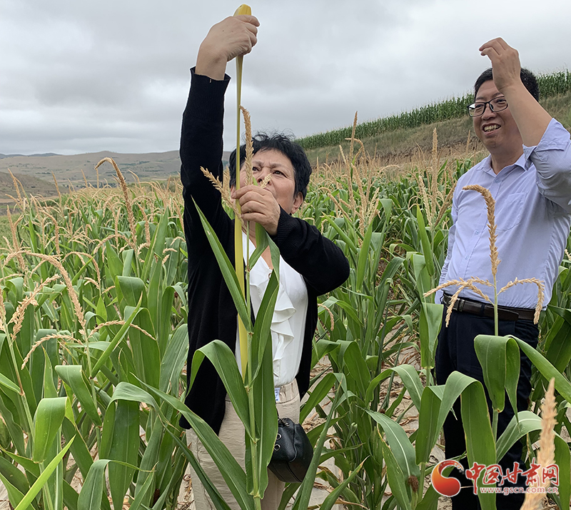 甘肅一位農氣專家的“人工增雨圖”