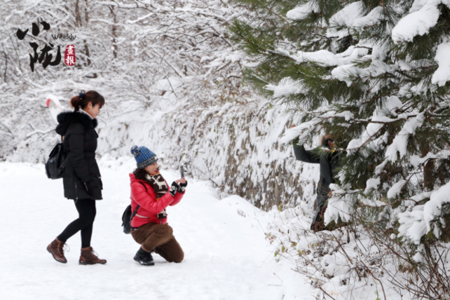 【小隴畫報·129期】問道崆峒遇風雪 青山如黛天地白