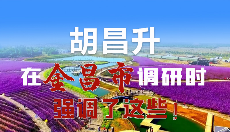 圖解|胡昌升在金昌市調(diào)研時強(qiáng)調(diào)了這些！