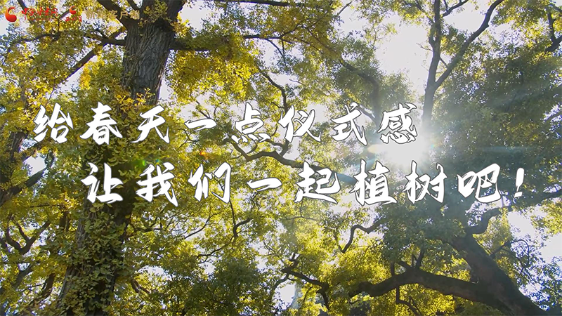 短視頻|給春天一點儀式感，讓我們一起植樹吧！