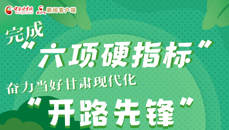 圖解|完成“六項(xiàng)硬指標(biāo)”奮力當(dāng)好甘肅現(xiàn)代化“開路先鋒”