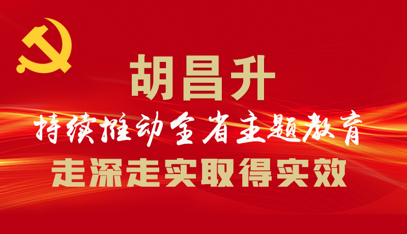 圖解|胡昌升：持續推動全省主題教育走深走實取得實效