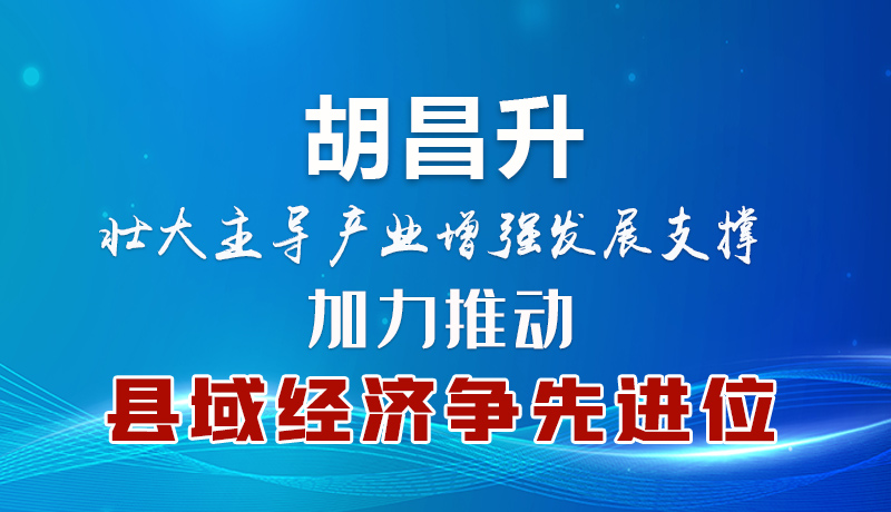 胡昌升：壯大主導產業增強發展支撐 加力推動縣域經濟爭先進位