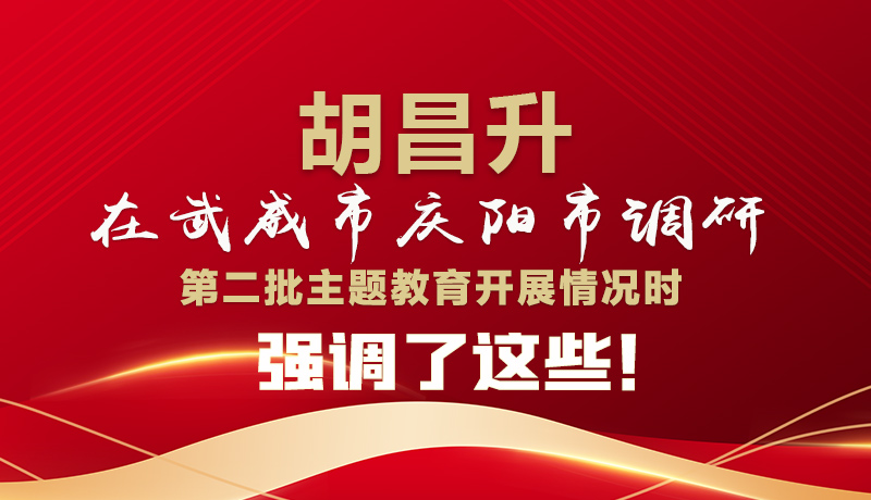 圖解|胡昌升在武威市慶陽市調研第二批主題教育開展情況時強調了這些！