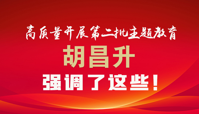 圖解|高質量開展第二批主題教育 胡昌升強調了這些！