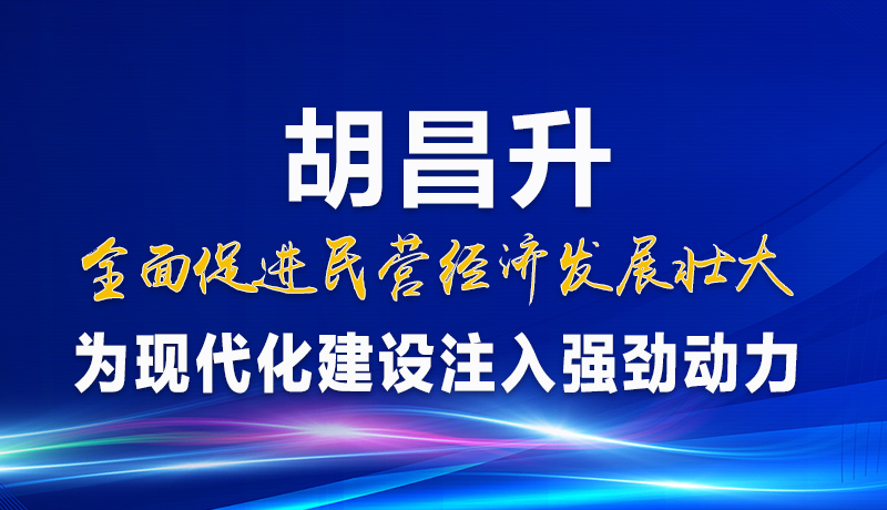 圖解|胡昌升：全面促進(jìn)民營經(jīng)濟(jì)發(fā)展壯大 為現(xiàn)代化建設(shè)注入強(qiáng)勁動力