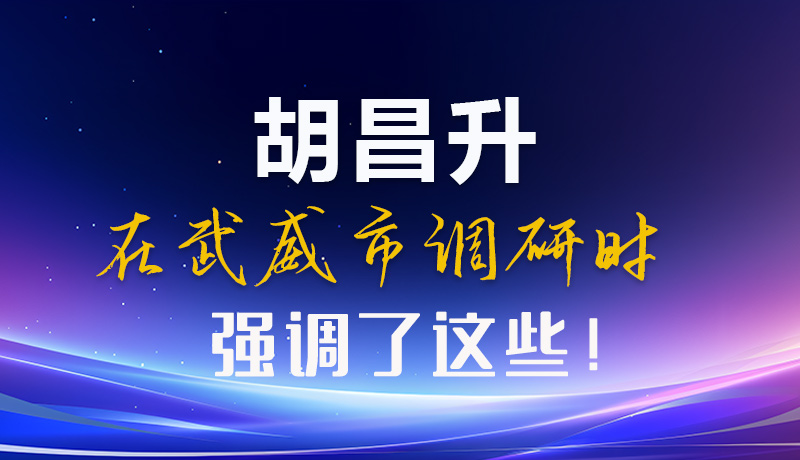 圖解|胡昌升在武威市調研時強調了這些！