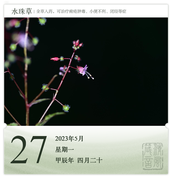 箴歷日歷5-27.png