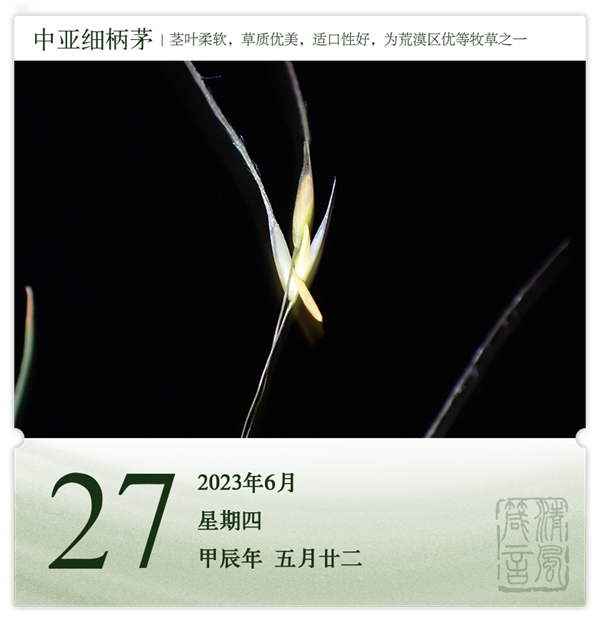 箴歷日歷6-27.png