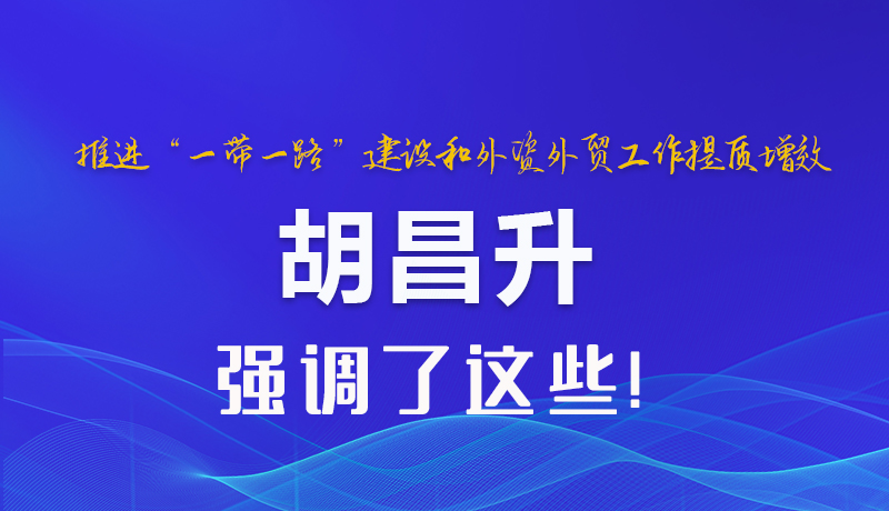 圖解|推進(jìn)“一帶一路”建設(shè)和外資外貿(mào)工作提質(zhì)增效 胡昌升強(qiáng)調(diào)了這些 