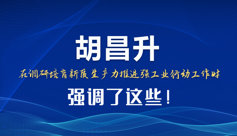 圖解|胡昌升在調(diào)研培育新質(zhì)生產(chǎn)力推進強工業(yè)行動工作時強調(diào)了這些！