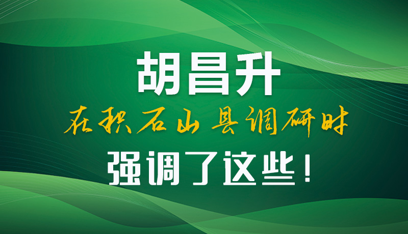 圖解|胡昌升在積石山縣調研時強調了這些！