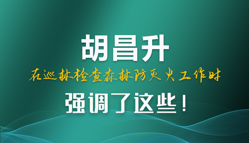 圖解|胡昌升在巡林檢查森林防滅火工作時強(qiáng)調(diào)了這些！