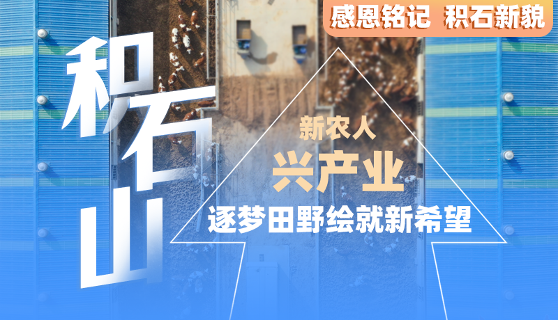 感恩銘記 積石新貌|積石山：新農人 興產業 逐夢田野繪就新希望