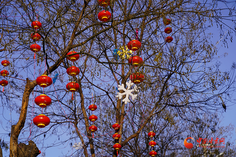 甘肅靜寧：華燈初上 喜慶氛圍滿溢小城