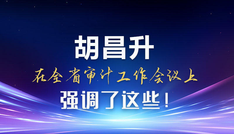 圖解|胡昌升在全省審計工作會議上強(qiáng)調(diào)了這些！